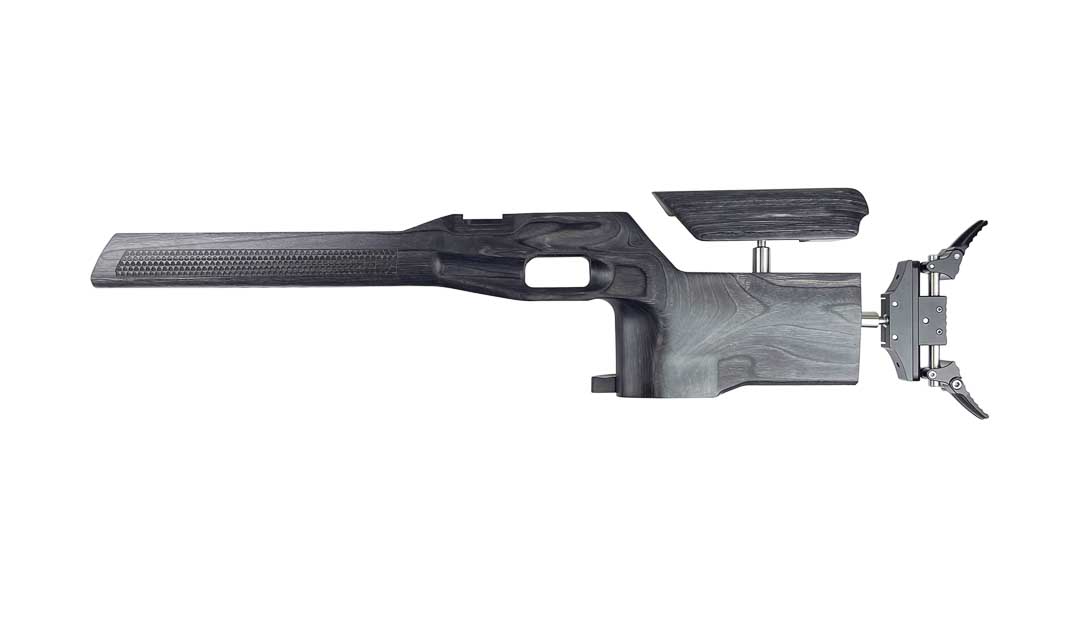 Form CR2 Air Rifle Target Stock - Image 12
