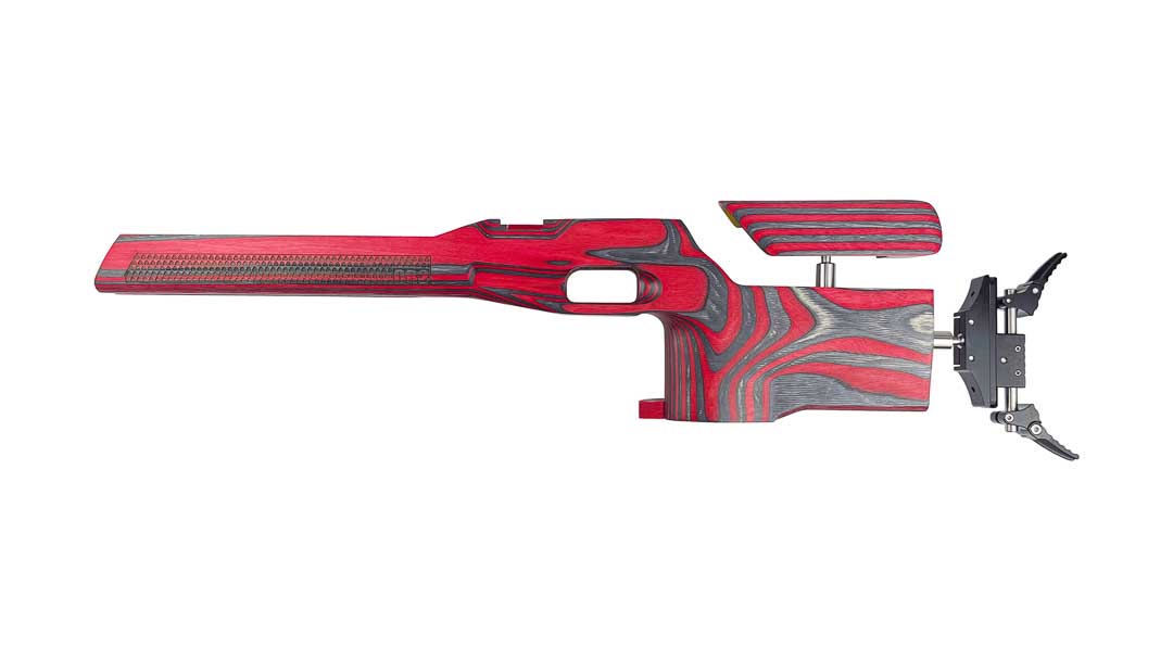 Form CR2 Air Rifle Target Stock - Image 3