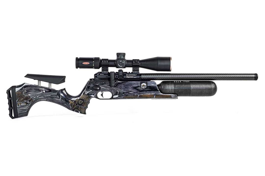 Daystate Black Wolf HiLite - Image 6