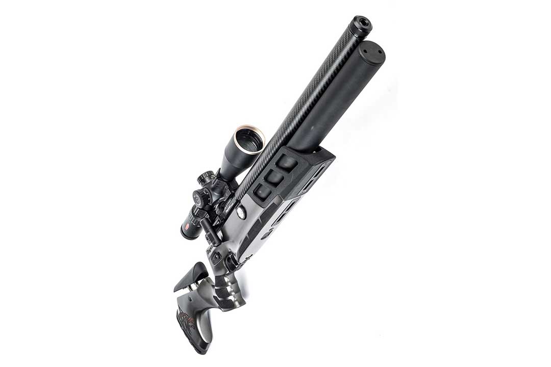 Daystate Black Wolf C-Type - Image 3