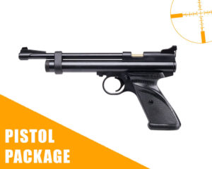 Crosman 2240 Package