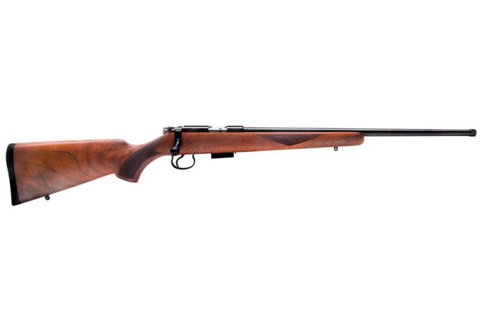 Cogswell & Harrison Certus .17 HMR