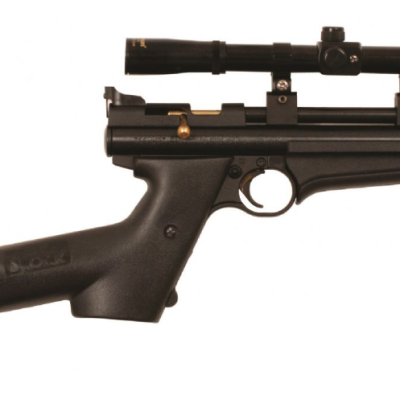 Crosman 2250 Ratcatcher .22