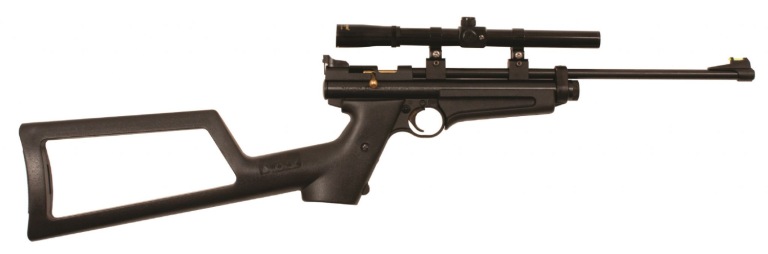 Crosman 2250 Ratcatcher .22