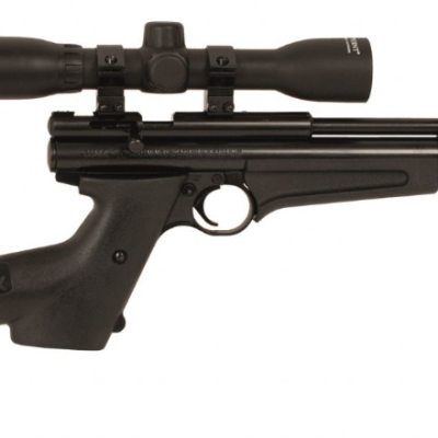 Crosman 2250XL .22