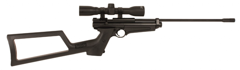 Crosman 2250XL .22