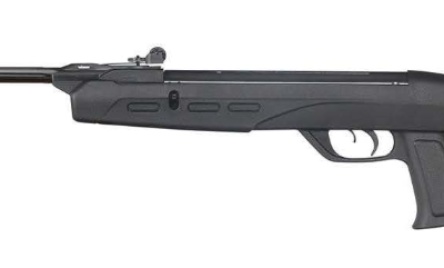 Gamo Delta Fox GT Whisper .177