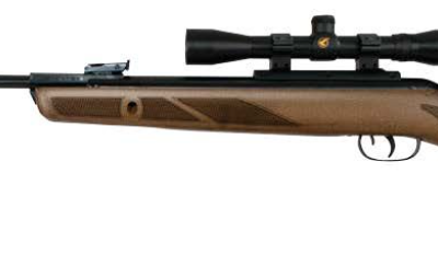 Gamo Hunter 440