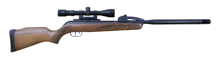Gamo Varmint Swarm Multishot