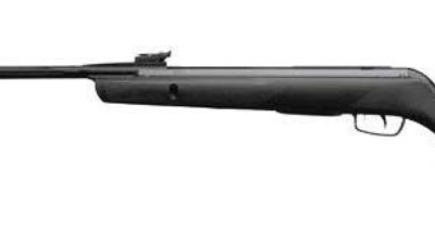 Gamo Whisper Sting